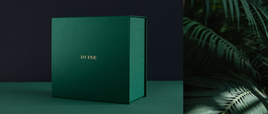 green elegant gift box inspired by forest with eco sustainable self-care ritual at home